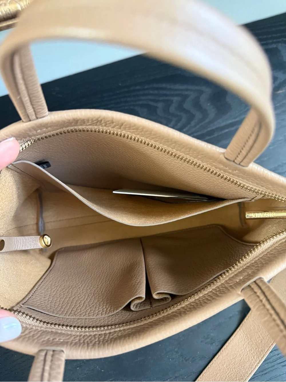 Cuyana Cappucino Mini Easy Zipper Tote